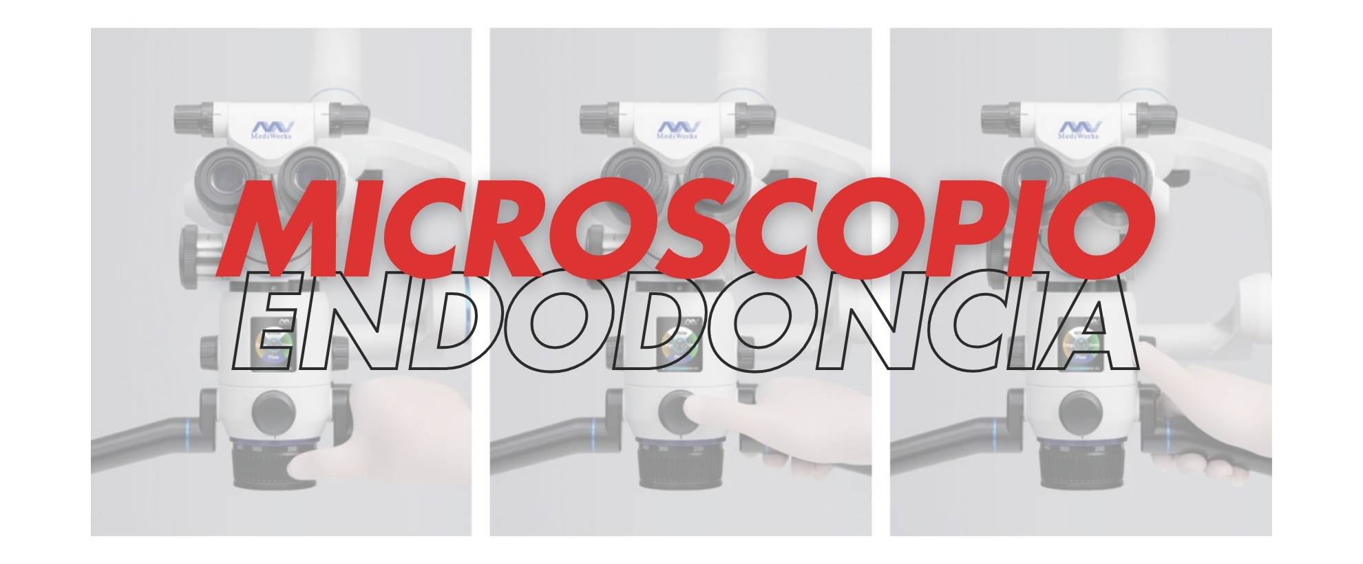 microscopio endodoncia